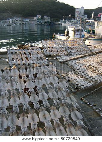Dried Squid