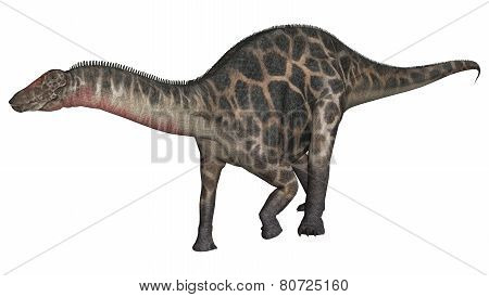 Dinosaur Dicraeosaurus