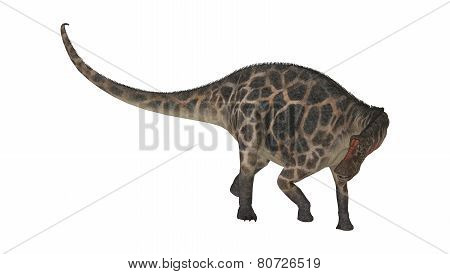 Dinosaur Dicraeosaurus