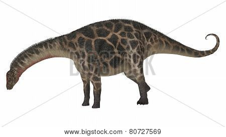 Dinosaur Dicraeosaurus