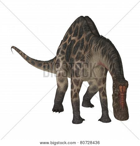 Dinosaur Dicraeosaurus