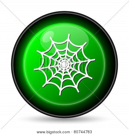 Spider Web Icon