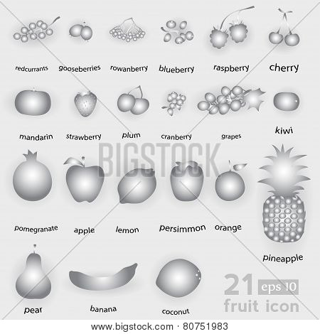 fruit set vector