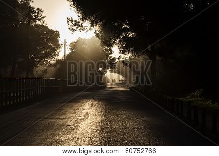 Road At Sunset
