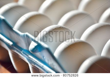 eggs in carton in morning light