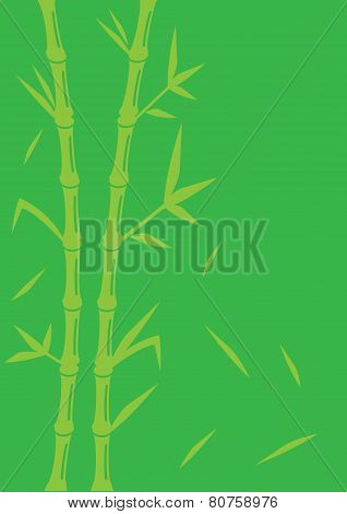 Green Bamboo Vector Background