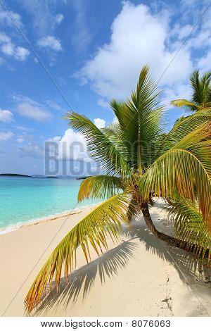 Krásné Solomon Bay (USVI)