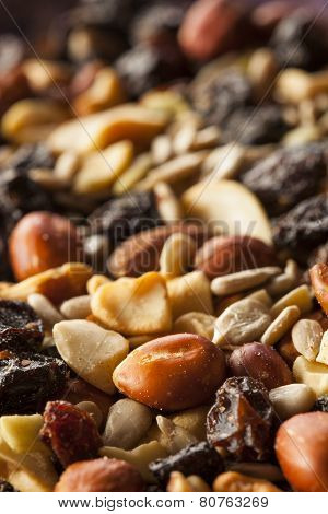 Raw Organic Homemade Trail Mix