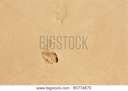 Human footsteps on yellow beach sand
