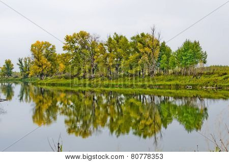 Autumn forest