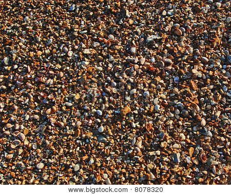 Small Wet Stones