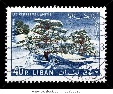 Lebanon 1965 Ceders of friendship