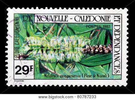 New Caledonia  1982