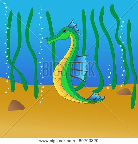 Sea Horse