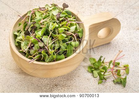 organic micro greens (kale, mustard, pea, herbs) on a  primitive wooden scoop against grunge bran wood