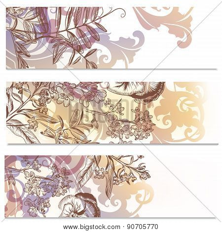 Brochures Set With Flowers