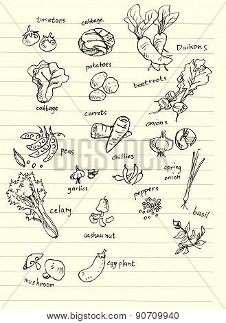 Vegetable Hand Doodle Illustration