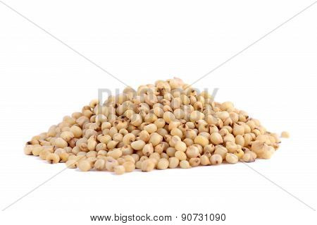 Heap of Jowar (Sorghum) on white background, Close up.
