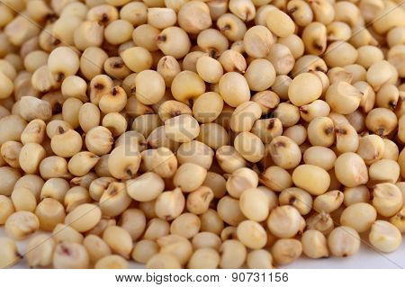 Jowar (Sorghum) arrange as background, Close up.