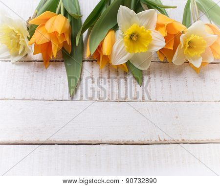 Background With Fresh Tulips And Narcissus
