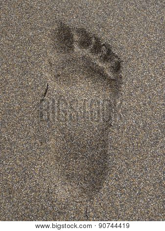 Footprint Upon Beach