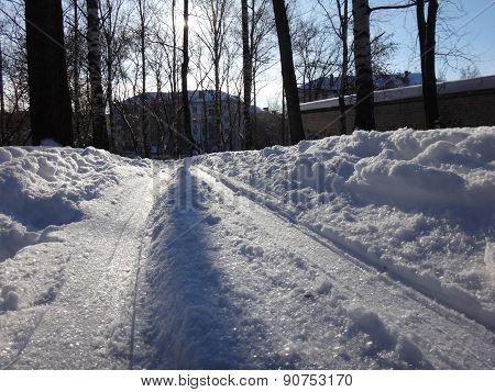 Winter road in the park wiht snow