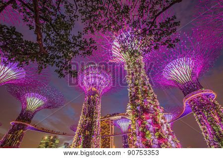 Singapore-aug 31: Night View Of The Supertree Grove At Gardens By The Bay On August 31 2014 In Singa