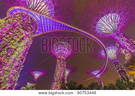 Singapore-aug 31: Night View Of The Supertree Grove At Gardens By The Bay On August 31 2014 In Singa