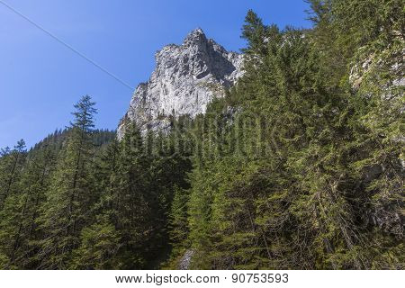 Koscieliska Valley - Tatras Mountains, Polish National Park.