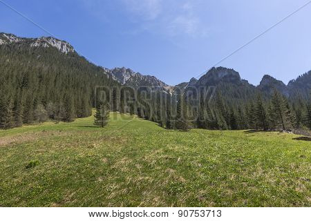 Koscieliska Valley - Tatras Mountains, Polish National Park.