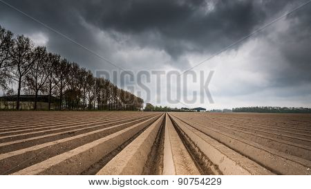 Plough Agriculture Field After Sowing