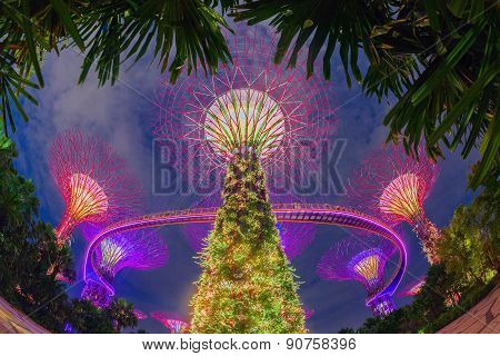 SINGAPORE-AUG 31: Night view of The Supertree Grove at Gardens by the Bay on august 31 2014 in Singapore. Spanning 101 hectares and five-minute walk from Bayfront MRT Station.