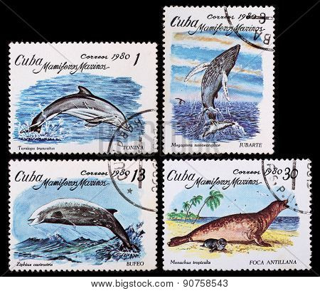 Post Stamp. Sea Animals. Cuba