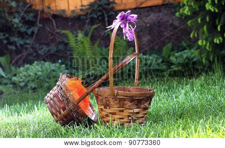 Straw basket in green grass