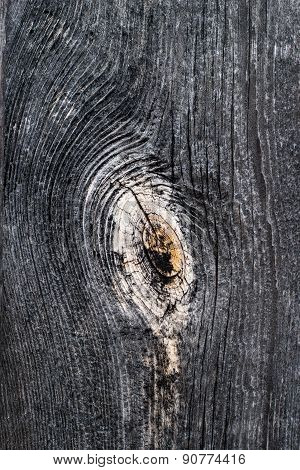 old wood