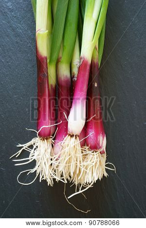 Fresh Red Spring Onions