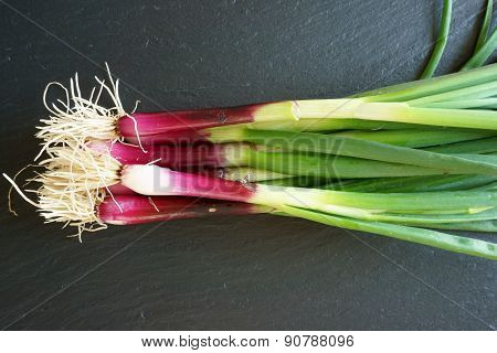 Fresh Spring Onions On A Platte