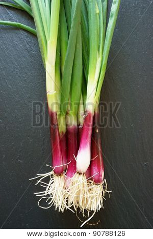 Onions On A Cutting Board