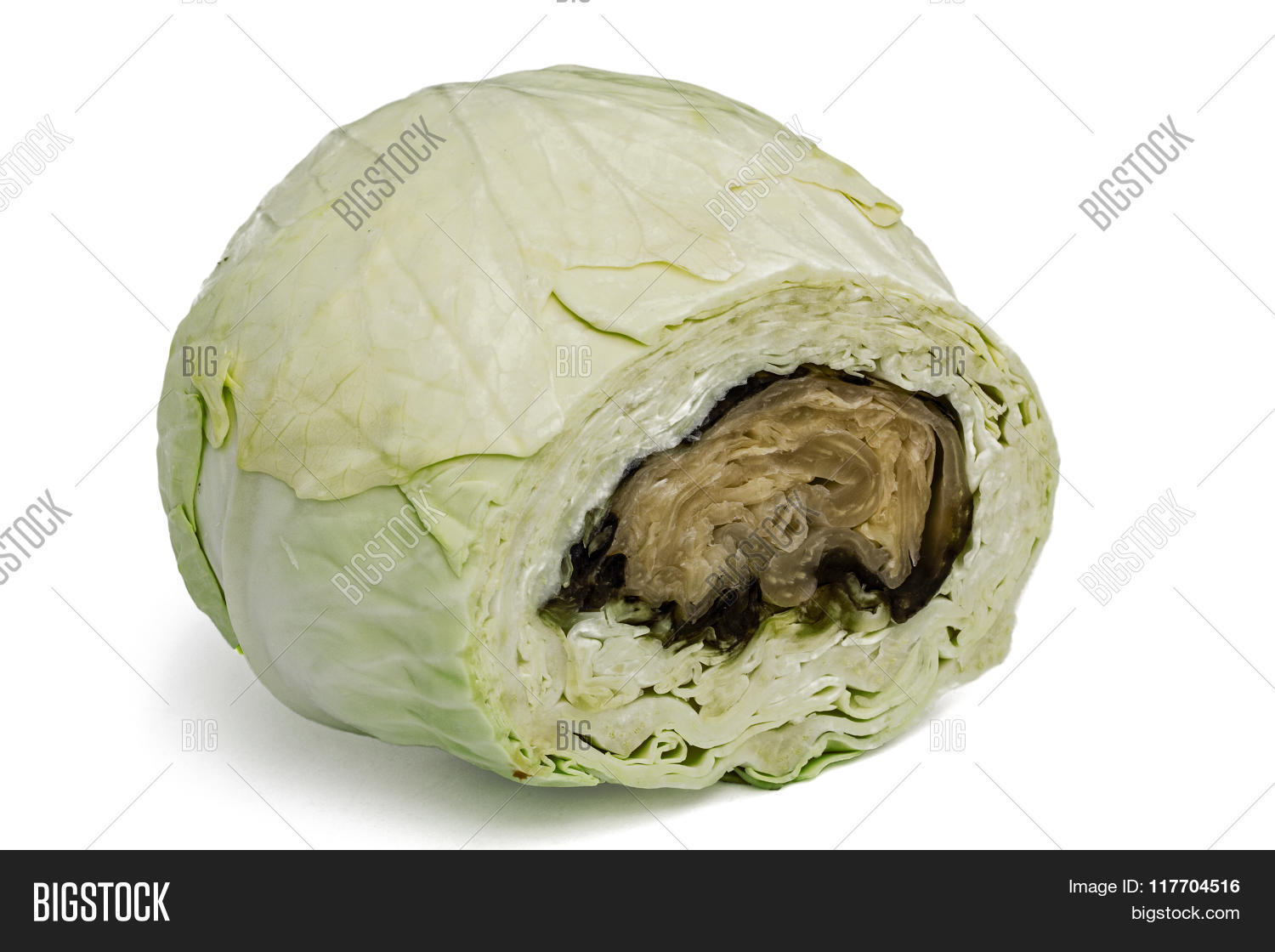 Spoiled Rotten Cabbage Image & Photo (Free Trial) Bigstock