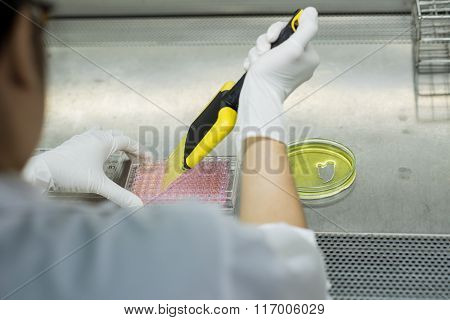 Researcher transfers testing fluid
