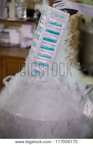 Technician removing specimens from freezer