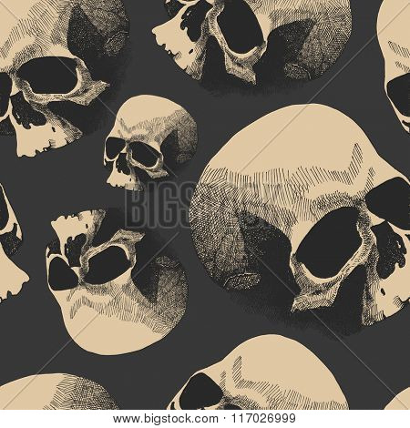 Seamless background with skulls. Hand drawn. Vector illustration.