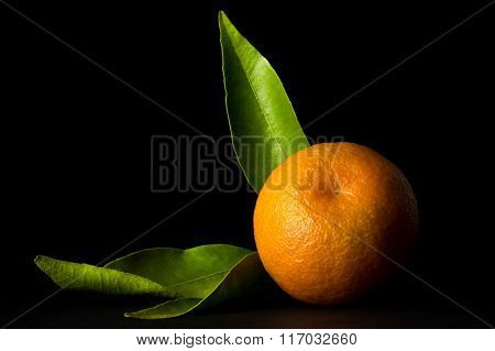 Clementine on black background