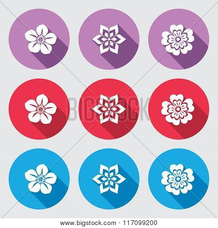 Flower icon set. Petunia, daisy, orchid, primula. Floral symbol. White sign on round red, blue, lila