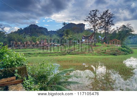 Tongkonan Traditional Village Kete Kesu