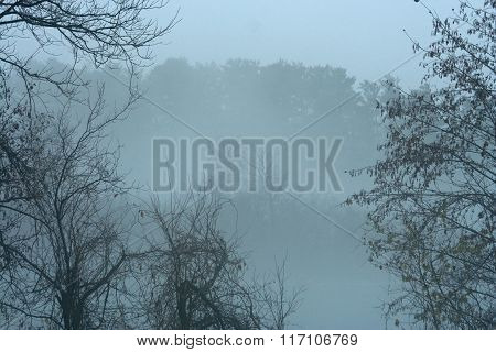 Mist on Lake and Trees in Park