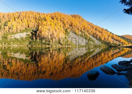 Reflections On Water, Autumn Panorama From Mountain Lake