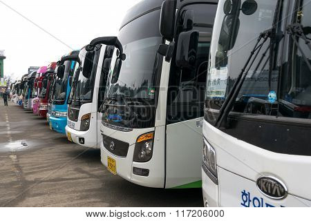 Korean Tourist Bus.