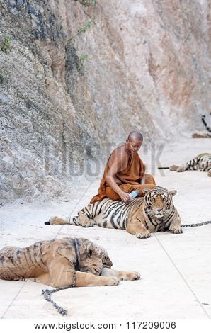 Tiger Temple