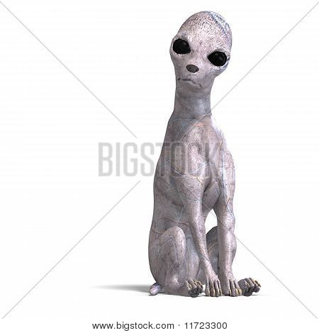 konstigt främmande hund från area 51
